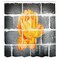 Ambesonne Rustic Flower Shower Curtain, Trippy Modern Graffiti with Rose Petals on The Brick Wall Urban City Life, Cloth Fabric Bathroom Decor Set with Hooks, 69" W x 70" L, Grey Orange